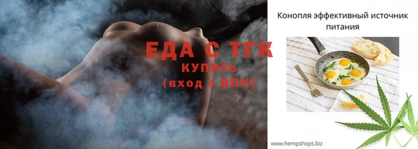 spice Ельня